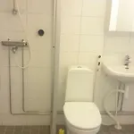 Kotipaljakka *