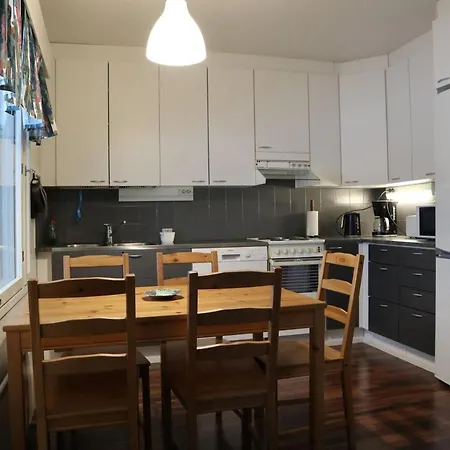 Kotipaljakka