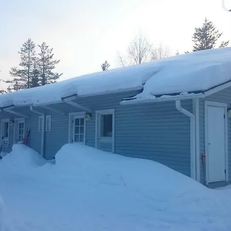 Kotipaljakka *
