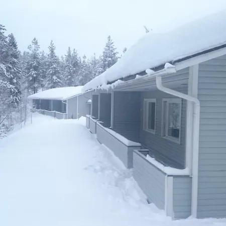 Kotipaljakka *