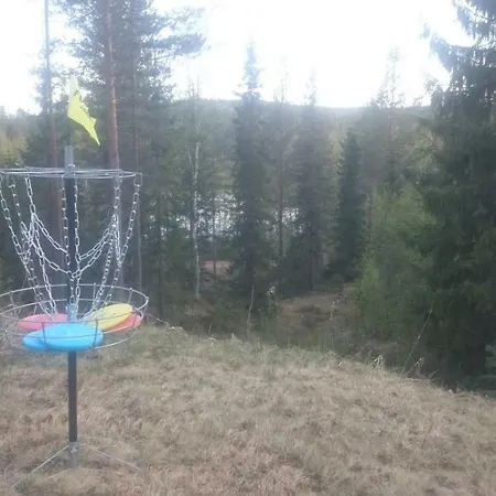Kotipaljakka